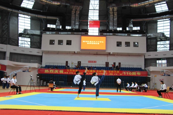 2016重庆市老员工跆拳道比赛混双冠军.jpg
